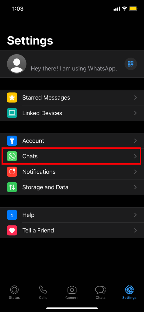 chats option on WhatsApp