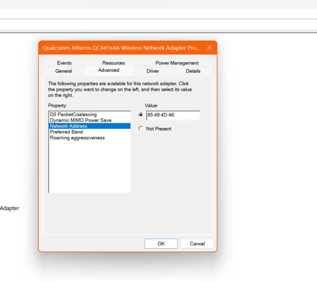 copy the random MAC Address and paste it into the Value section