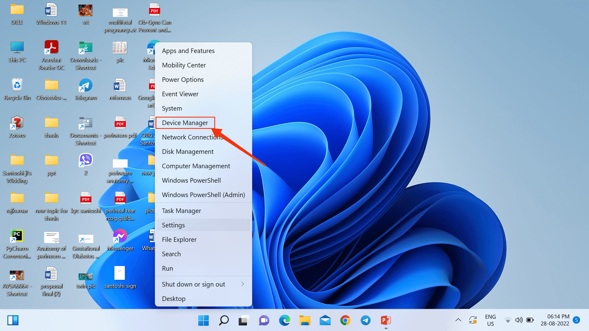 device manager in Windows 11