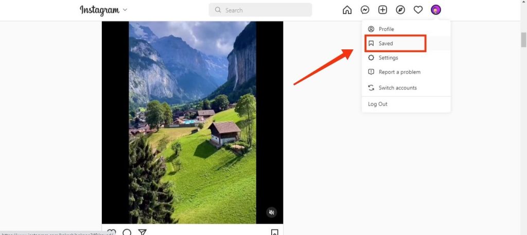see saved Insta videos on PC