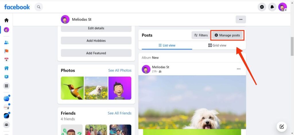 Manage posts on Facebook Timeline