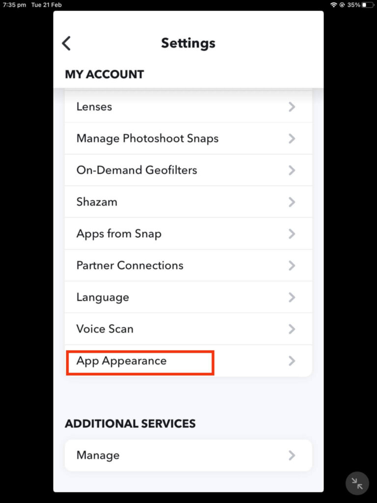 App appearance settings 