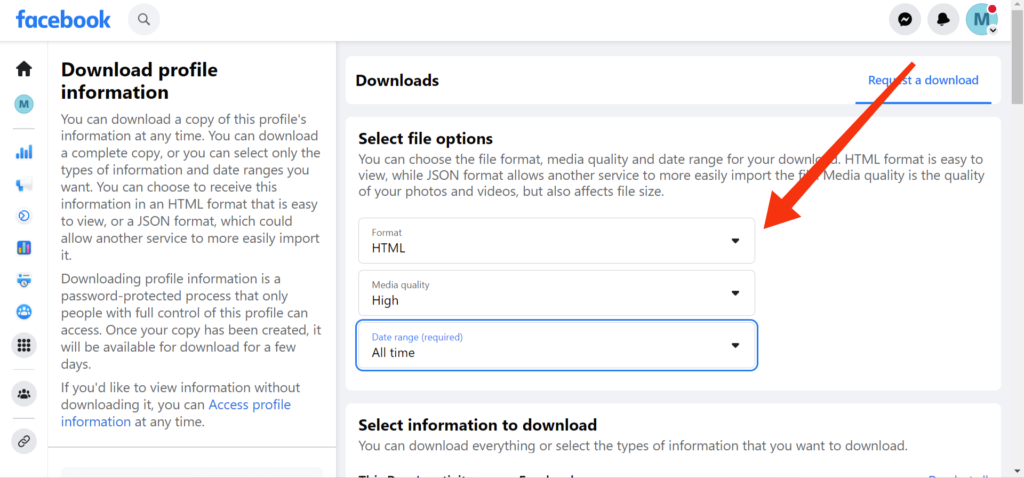 Download file options