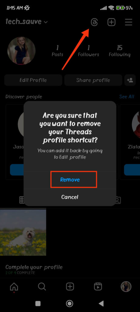 Remove Threads from Instagram profile